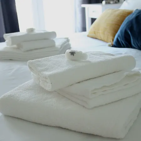 Affittacamere White House Aveiro